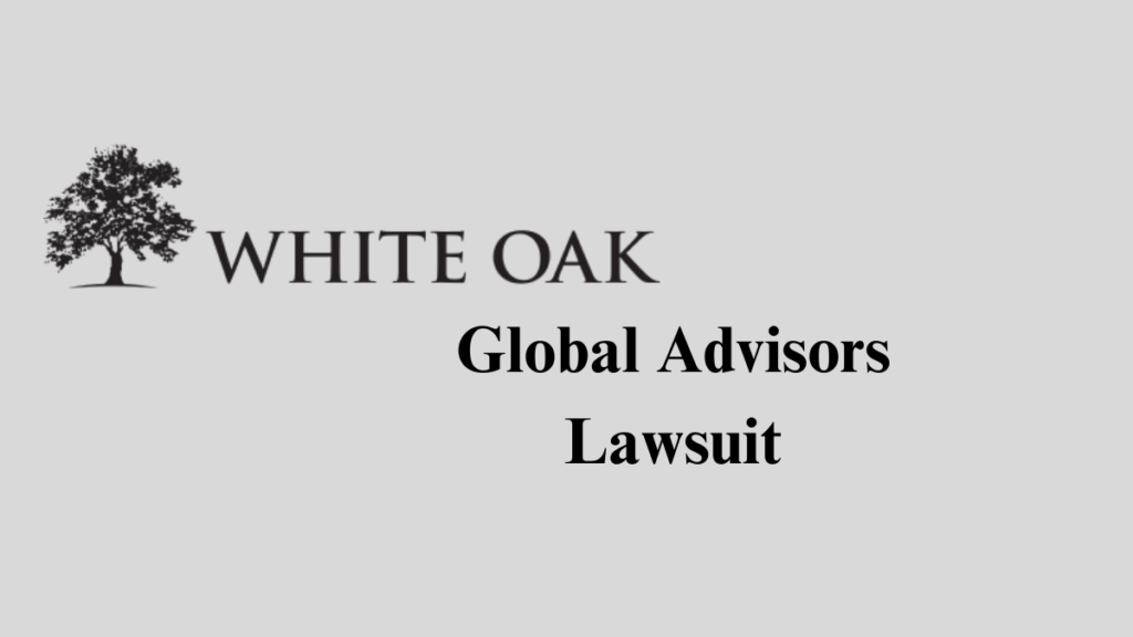 Overview of the Lawsuit Allegations Overview of the Lawsuit Allegations