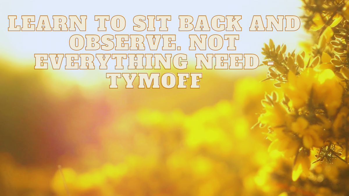 learn to sit back and observe. not everything need - tymoff Best Guide 2024