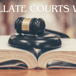 Understanding How Appellate Courts Work