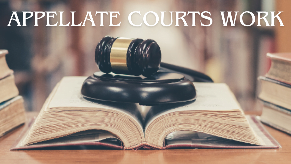 Understanding How Appellate Courts Work