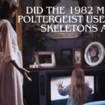 What controversial element did the 1982 movie poltergeist used real skeletons as - tymoff
