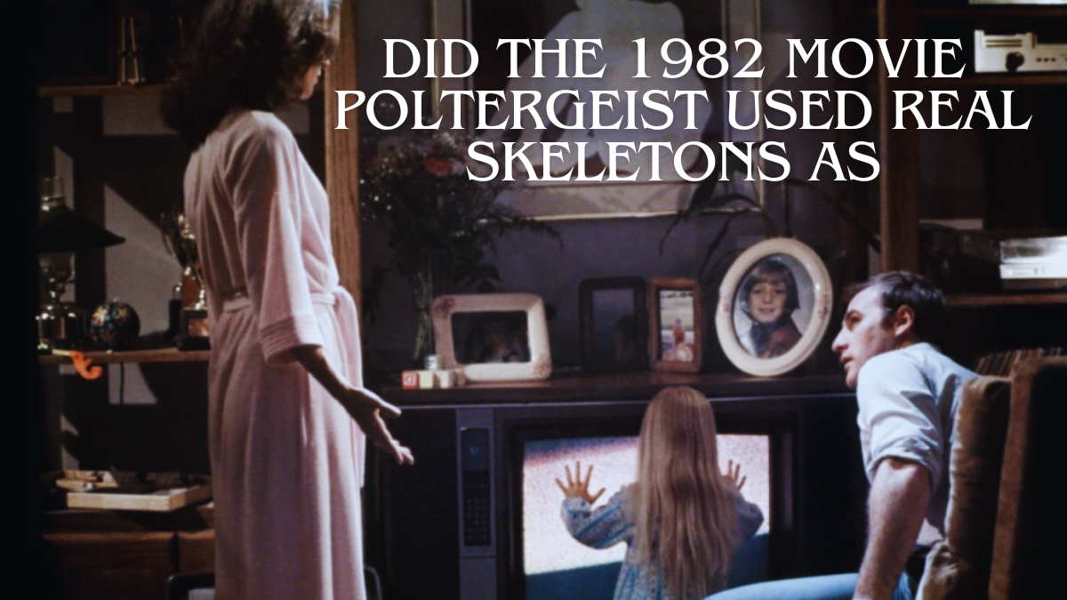 What controversial element did the 1982 movie poltergeist used real skeletons as - tymoff