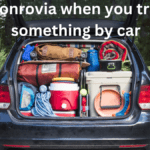Rena Monrovia when you transport something by car Best Tips and Tricks 2024