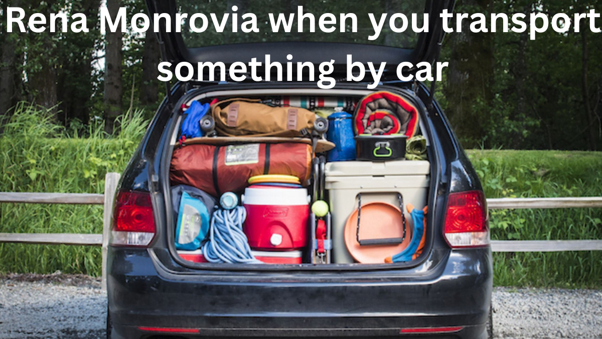Rena Monrovia when you transport something by car Best Tips and Tricks 2024