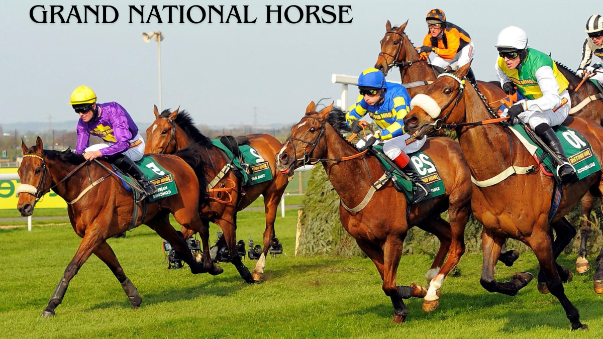 5 Great Grand National Horses Of All Time