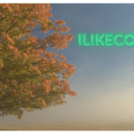 Ilikecomox: Everything is Natural and Real