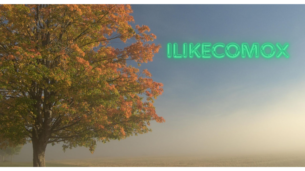 Ilikecomox: Everything is Natural and Real