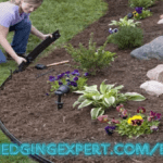 gardenedgingexpert.com/blog Enhance Your Garden with Expert Tips 2024