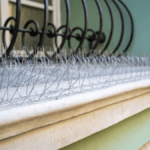 Pigeon Deterrents: Safeguarding Your Property and Health