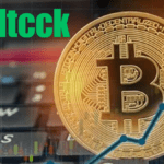 Understanding the token Usdtcck best Guide 2024