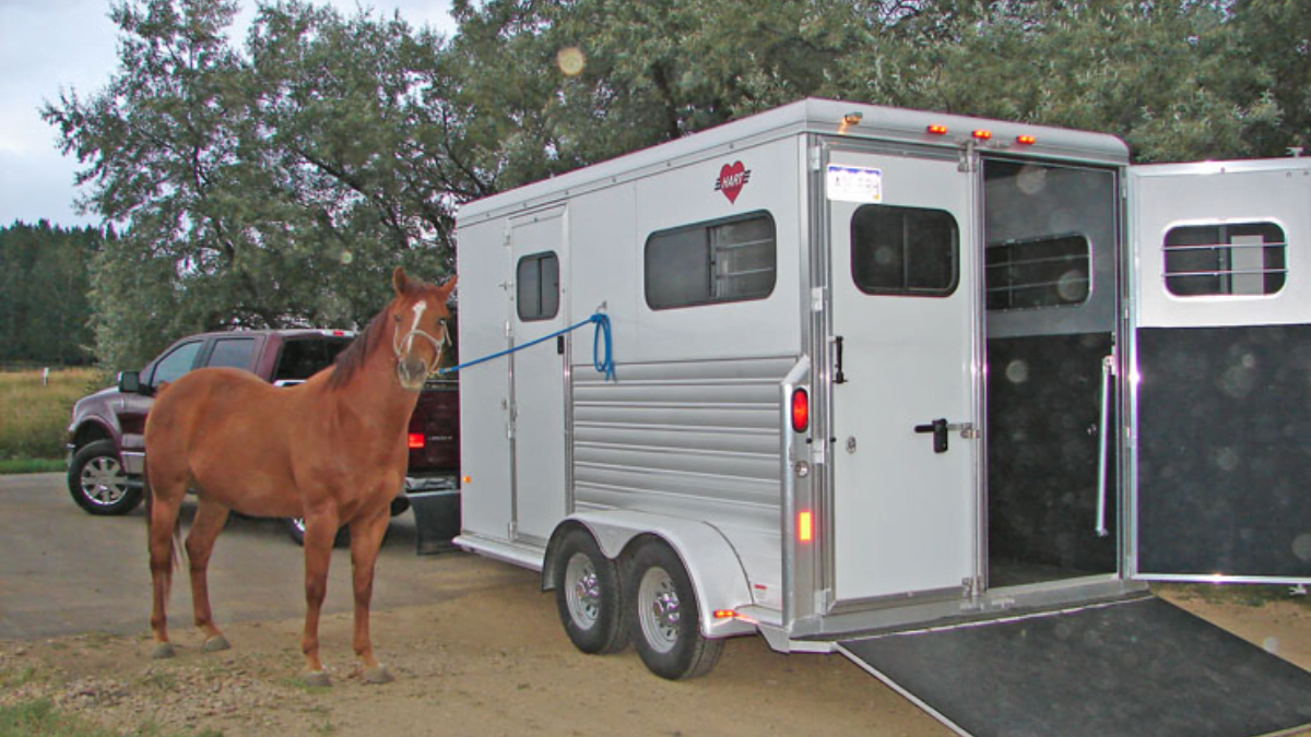 Trailblazing with Confidence: Secure Your Journey with Reliable Horse Trailers and Saddles