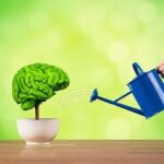 Top 10 Superfoods to Enhance Memory and Brain Function