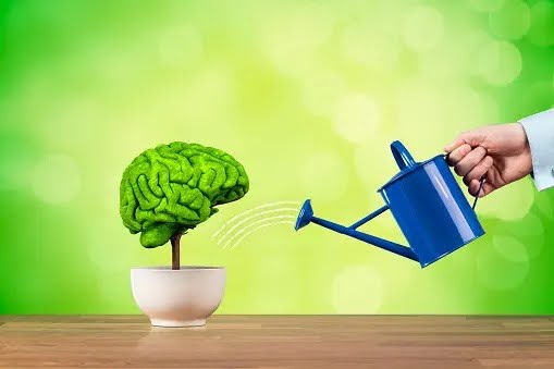 Top 10 Superfoods to Enhance Memory and Brain Function