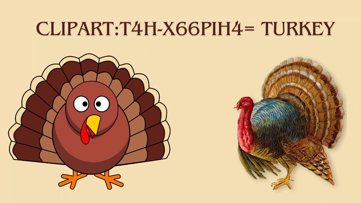 Clipart:t4h-x66pih4= turkey the Best Guide