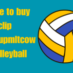 Where to buy clip art:e8iupmltcow= volleyball a best guide