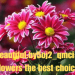 Beautiful:by5oj2_qmci= flowers the best choice
