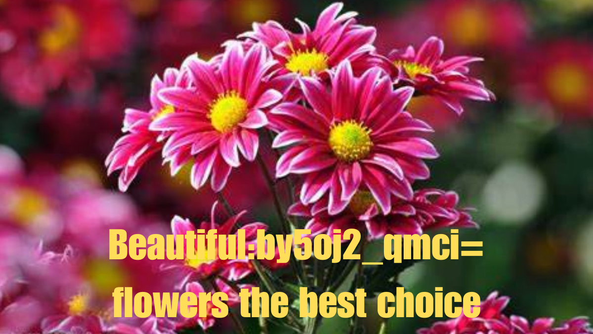 Beautiful:by5oj2_qmci= flowers the best choice