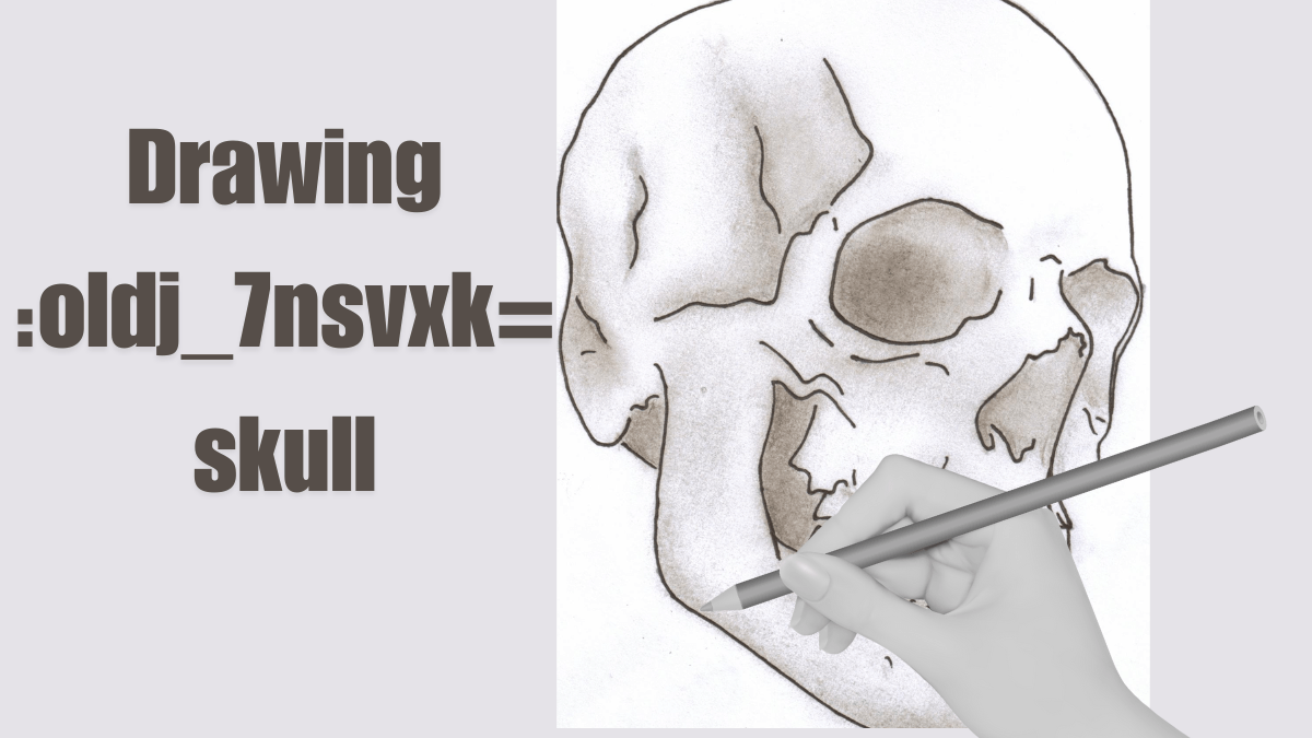 Drawing:oldj_7nsvxk= skull The best guide How to draw