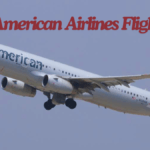 Inside American Airlines Flight 457Q's High-Flying Journey the best flight
