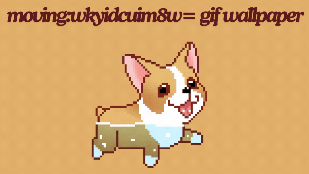 Elevate Your Space with moving:wkyidcuim8w= gif wallpaper best guide