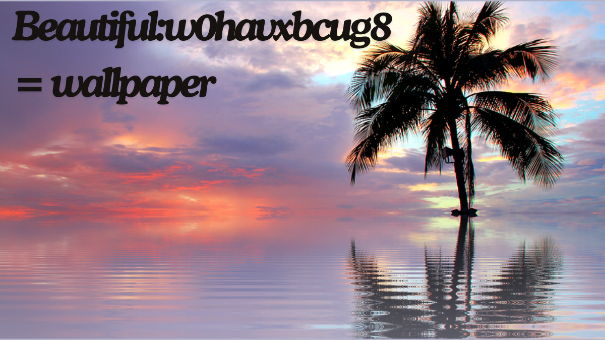 Beautiful:w0havxbcug8= wallpaper Enhancing Your Space with Best Style