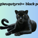 The Secrets of the animal:g0evqwtyrx0= black panther best guide