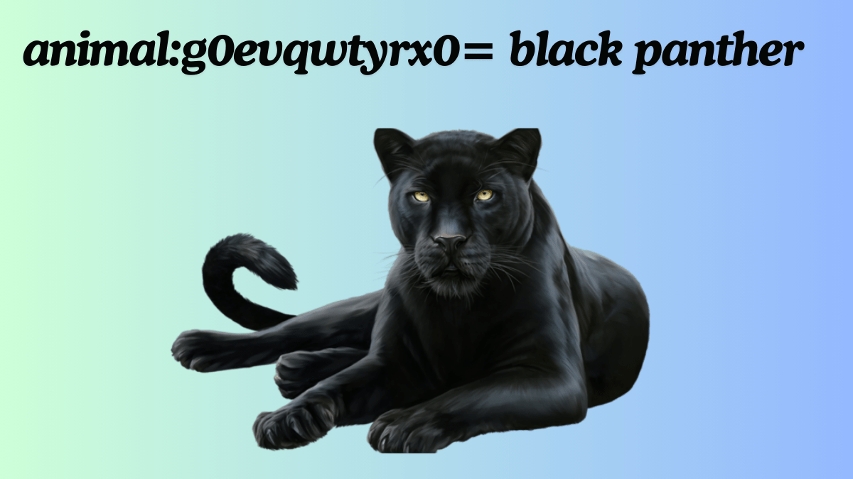 The Secrets of the animal:g0evqwtyrx0= black panther best guide