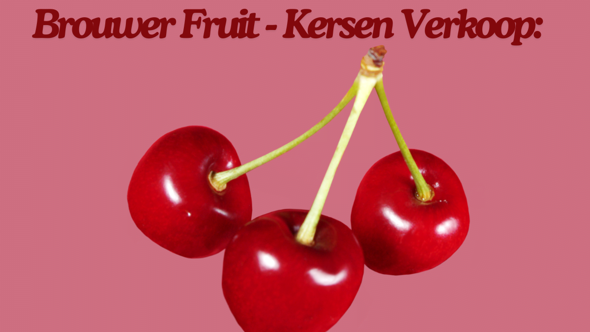 Brouwer Fruit - Kersen Verkoop: The Future of best Cherry Production 2024