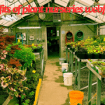 The benefits of plant nurseries webfreen.com ultimate guide 2024