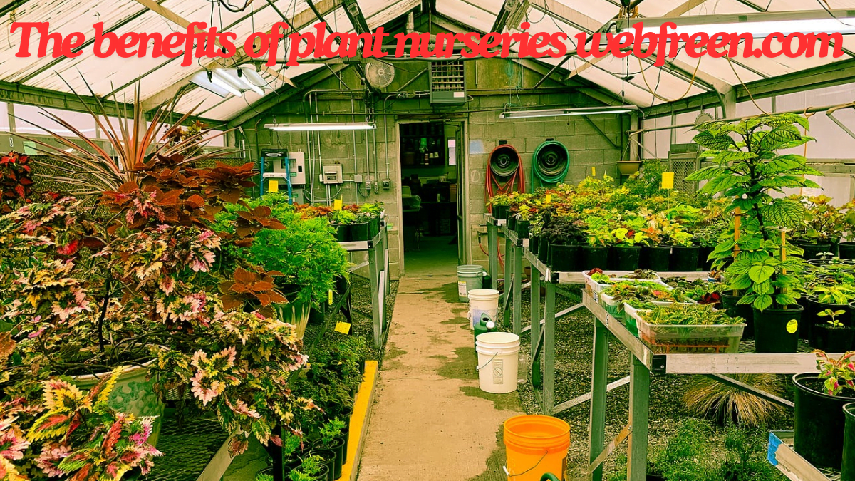 The benefits of plant nurseries webfreen.com ultimate guide 2024