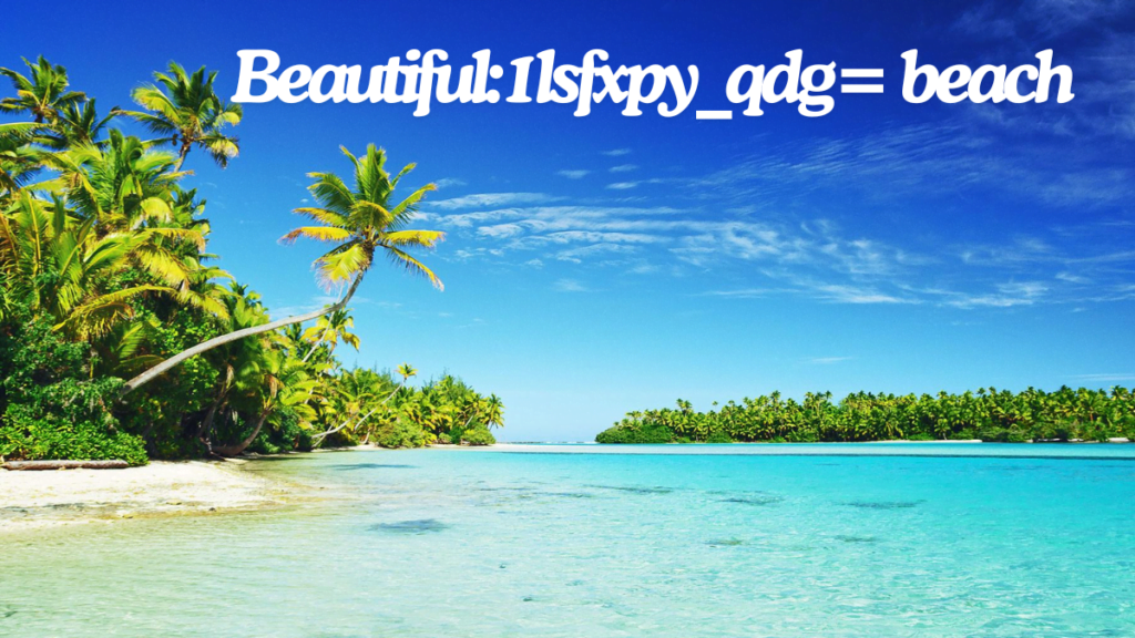 Dining and Shopping Recommendations at lsfxpy_qdg= Beach Dining and Shopping Recommendations at lsfxpy_qdg= Beach