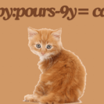 Introduced the world of Baby:pours-9y= cat best guide