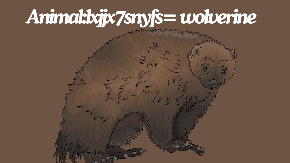Exploring the Mysteries of animal:lxjjx7snyfs= wolverine the best guide
