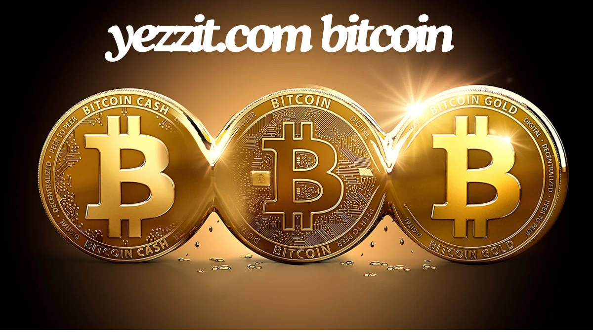 Yezzit.com bitcoin: A best Guide to Understanding Bitcoin on Yezzit.com