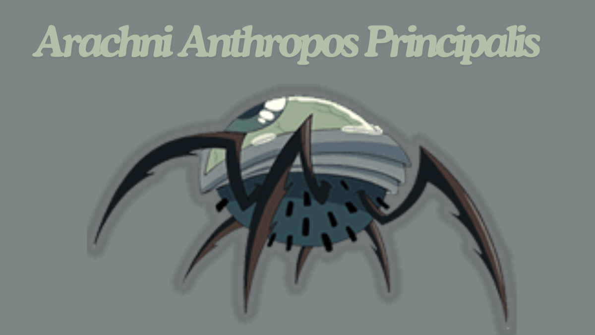 The Secret Life of Arachni Anthropos Principalis best guide 2024