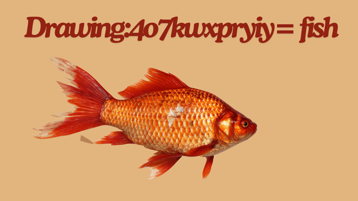 How to drawing:4o7kwxpryiy= fish realistic: Step-by-Step Guide for Beginners