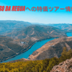 Discover peso da reguaへの特価ツアー情報 * Special Tour Offers for Culture and Wine Lovers 2025
