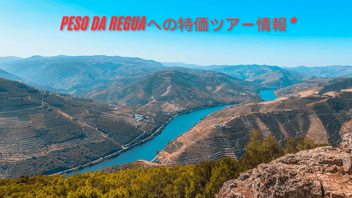 Discover peso da reguaへの特価ツアー情報 * Special Tour Offers for Culture and Wine Lovers 2025
